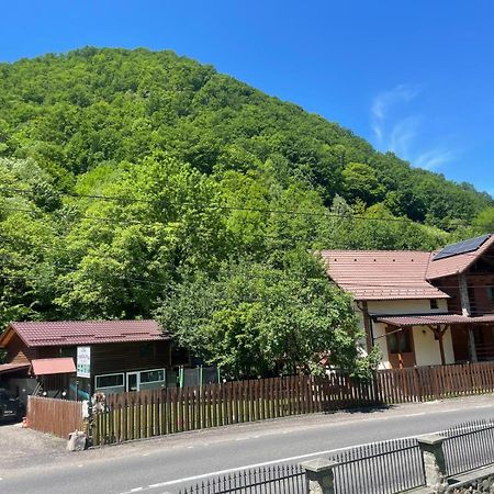 Pensiunea Casa Transalpina Sugág Kültér fotó