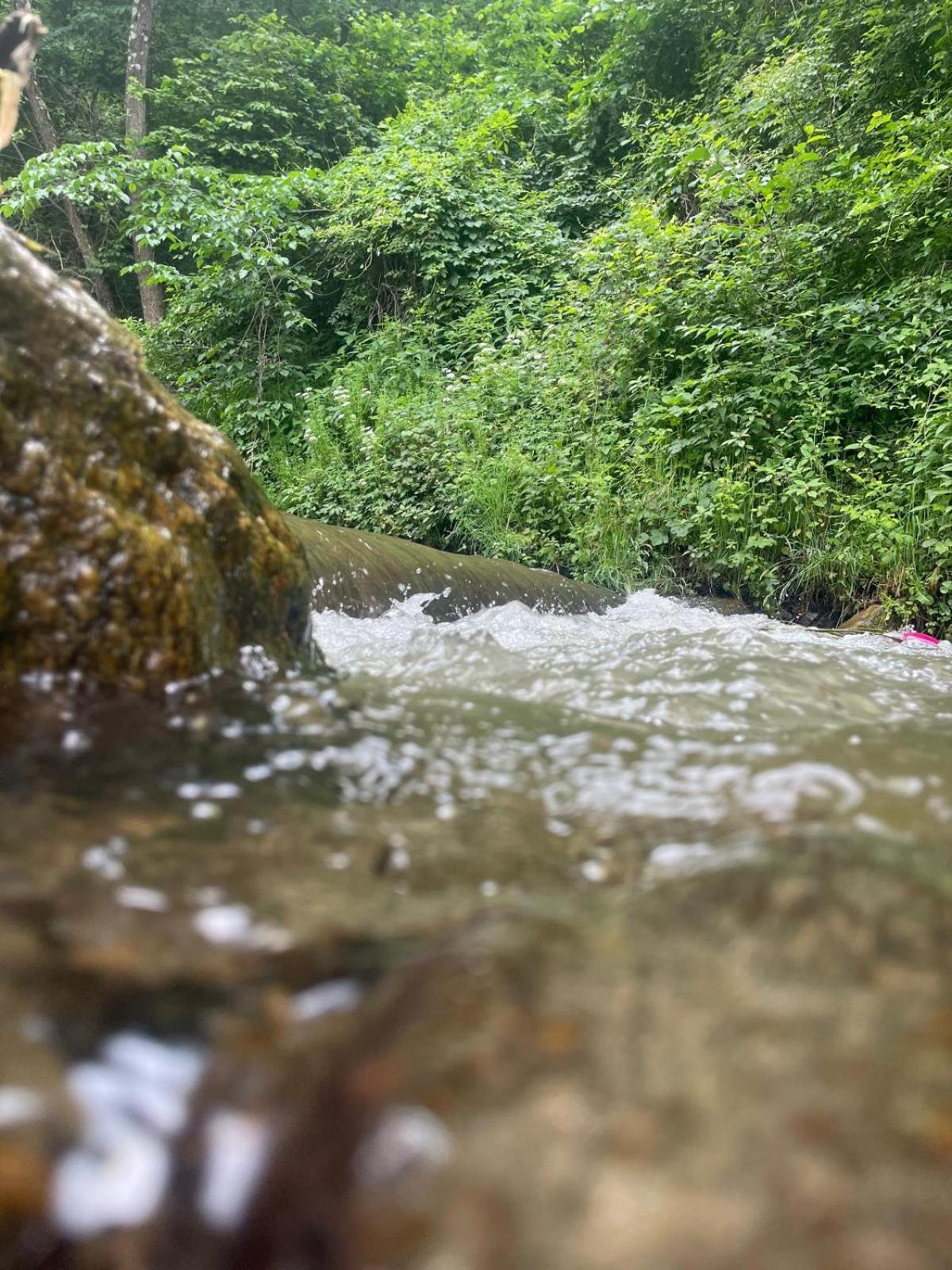 Pensiunea Casa Transalpina Sugág Kültér fotó